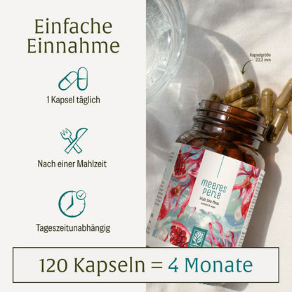 Meeresperle Irish Sea Moss Einnahme