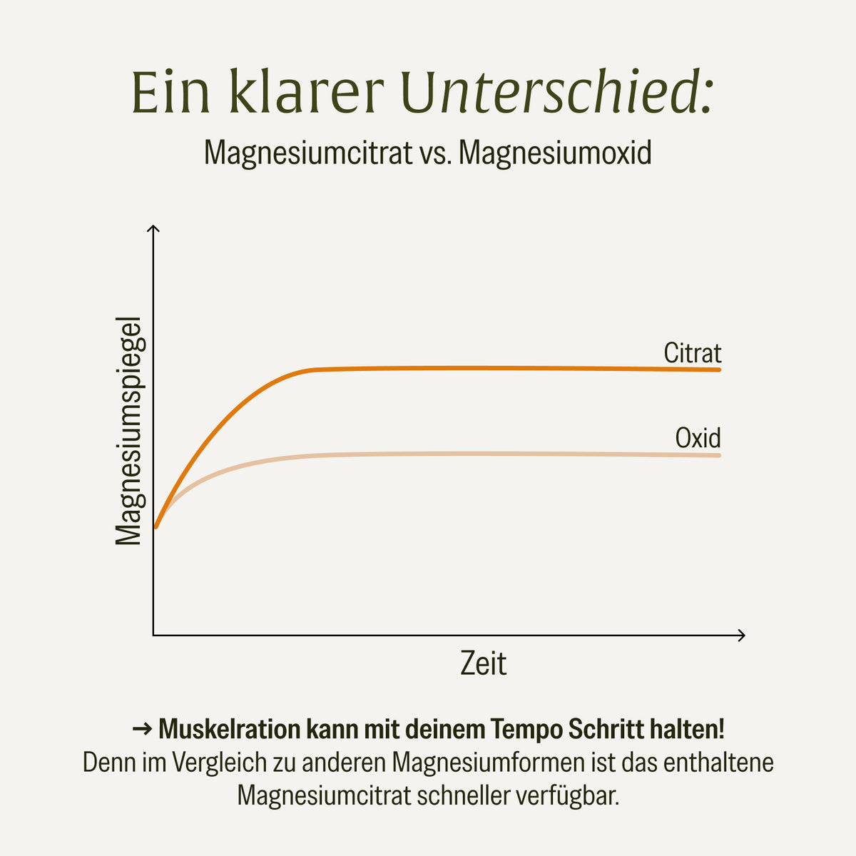 Muskelration Magnesiumcitrat L-Glutamin Amazon Unterschied