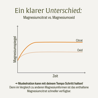 Muskelration Magnesiumcitrat L-Glutamin Amazon Unterschied