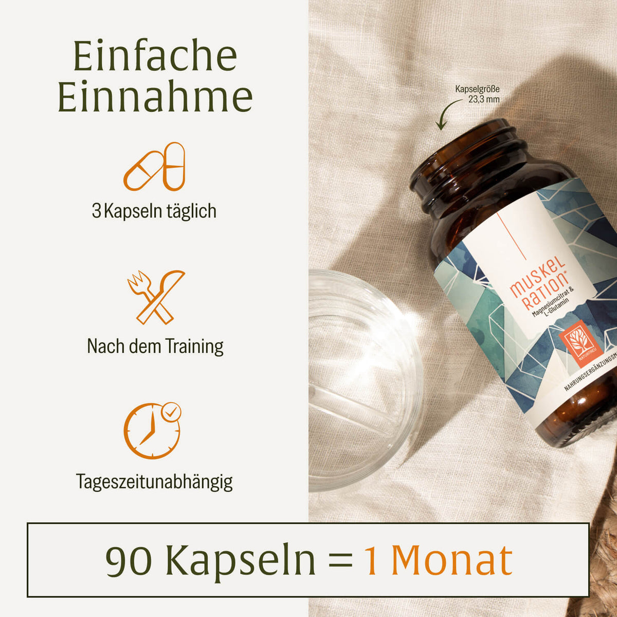 Muskelration Magnesiumcitrat L-Glutamin Onlineshop Einnahme