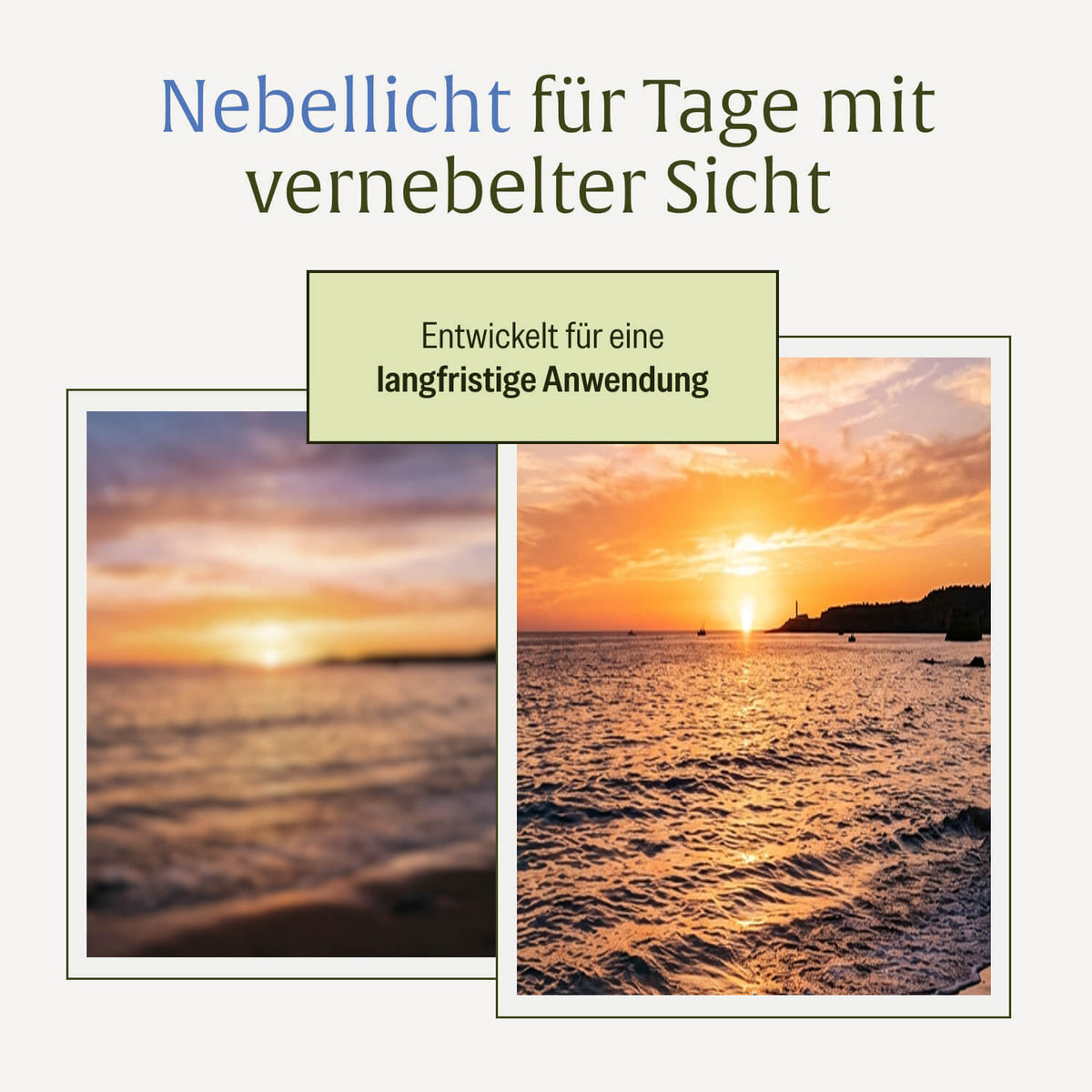 Nebellicht Mutterkraut-Magnesium-Ingwer-q10-vitaminb2-komplex Moodbild 