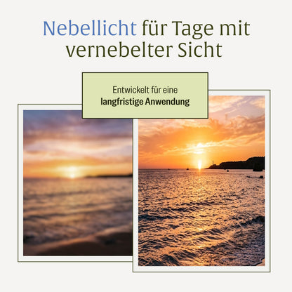 Nebellicht Mutterkraut-Magnesium-Ingwer-q10-vitaminb2-komplex Moodbild 