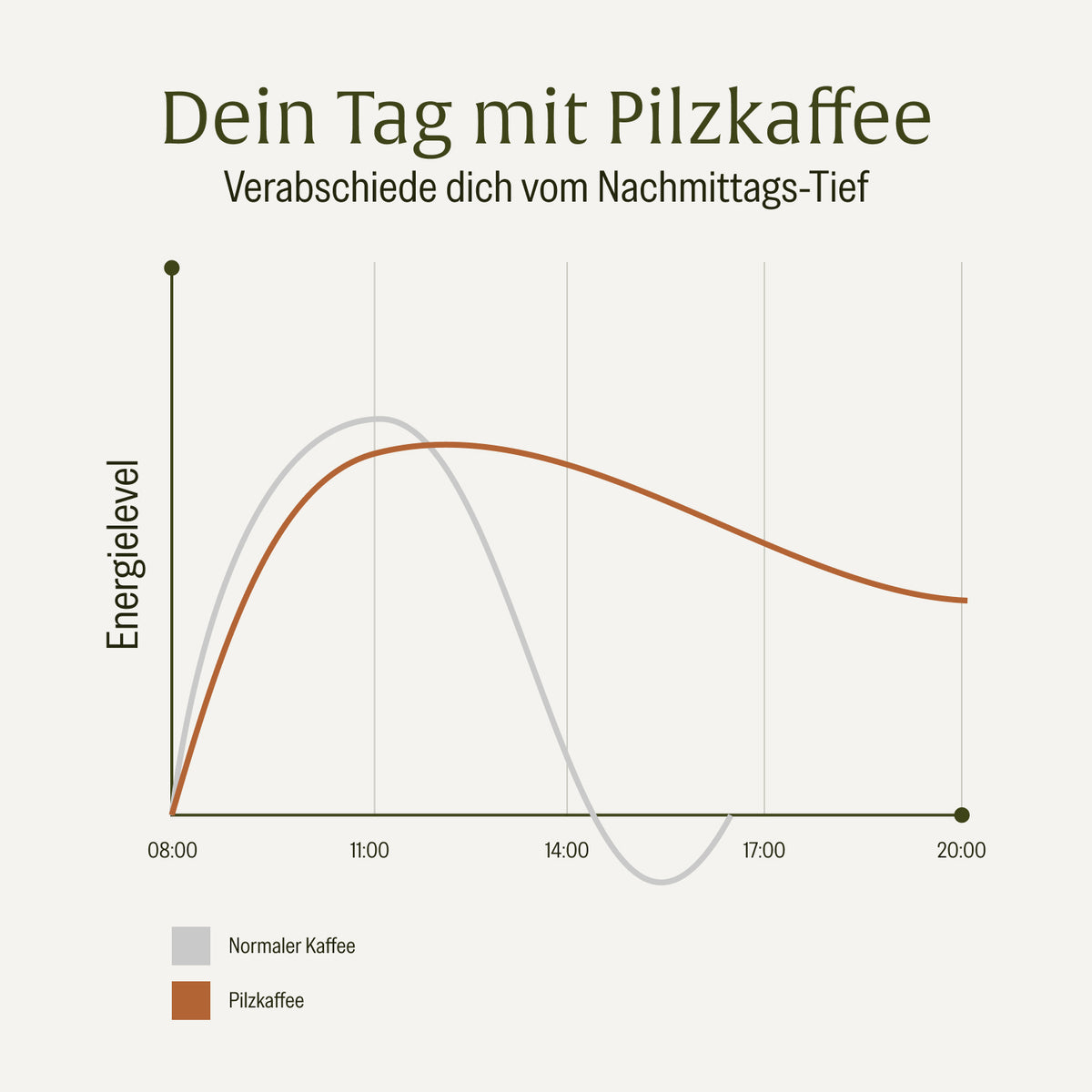 Pilzkaffee Kaffeegetraenkepulver Unterschied
