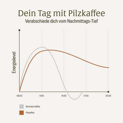 Pilzkaffee Kaffeegetraenkepulver Unterschied