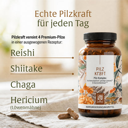 Pilzkraft Pilz-Komplex Moodbild