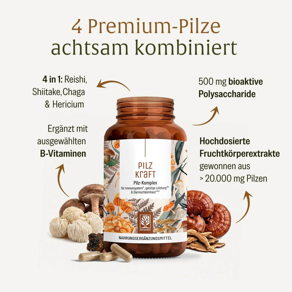 Pilzkraft Pilz-Komplex Hochwertige Inhaltsstoffe