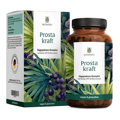 Prostakraft Titelbild
