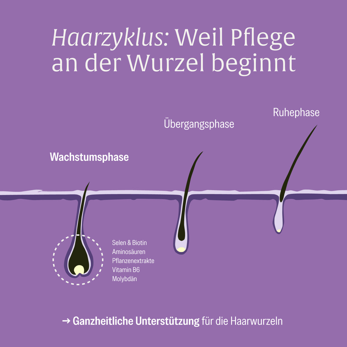 Rapunzelmaehne Haarwurzel-Komplex USP
