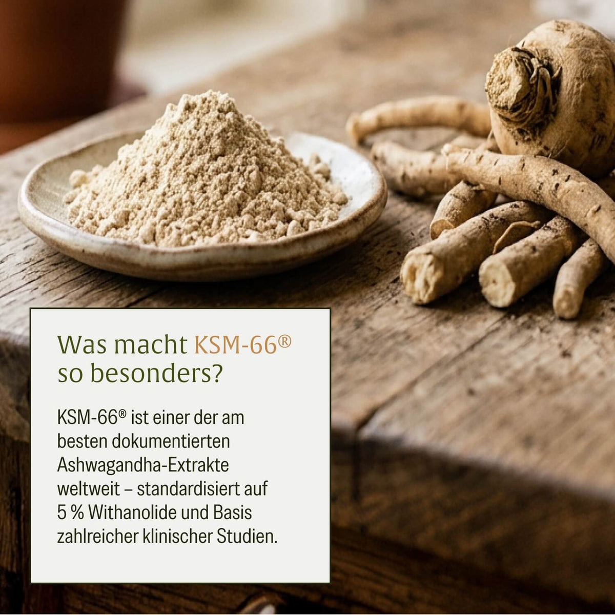 Ruhewurzel Ashwagandha mit KSM 66 Onlineshop Ashwagandha