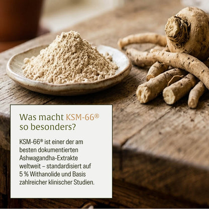 Ruhewurzel Ashwagandha mit KSM 66 Onlineshop Ashwagandha