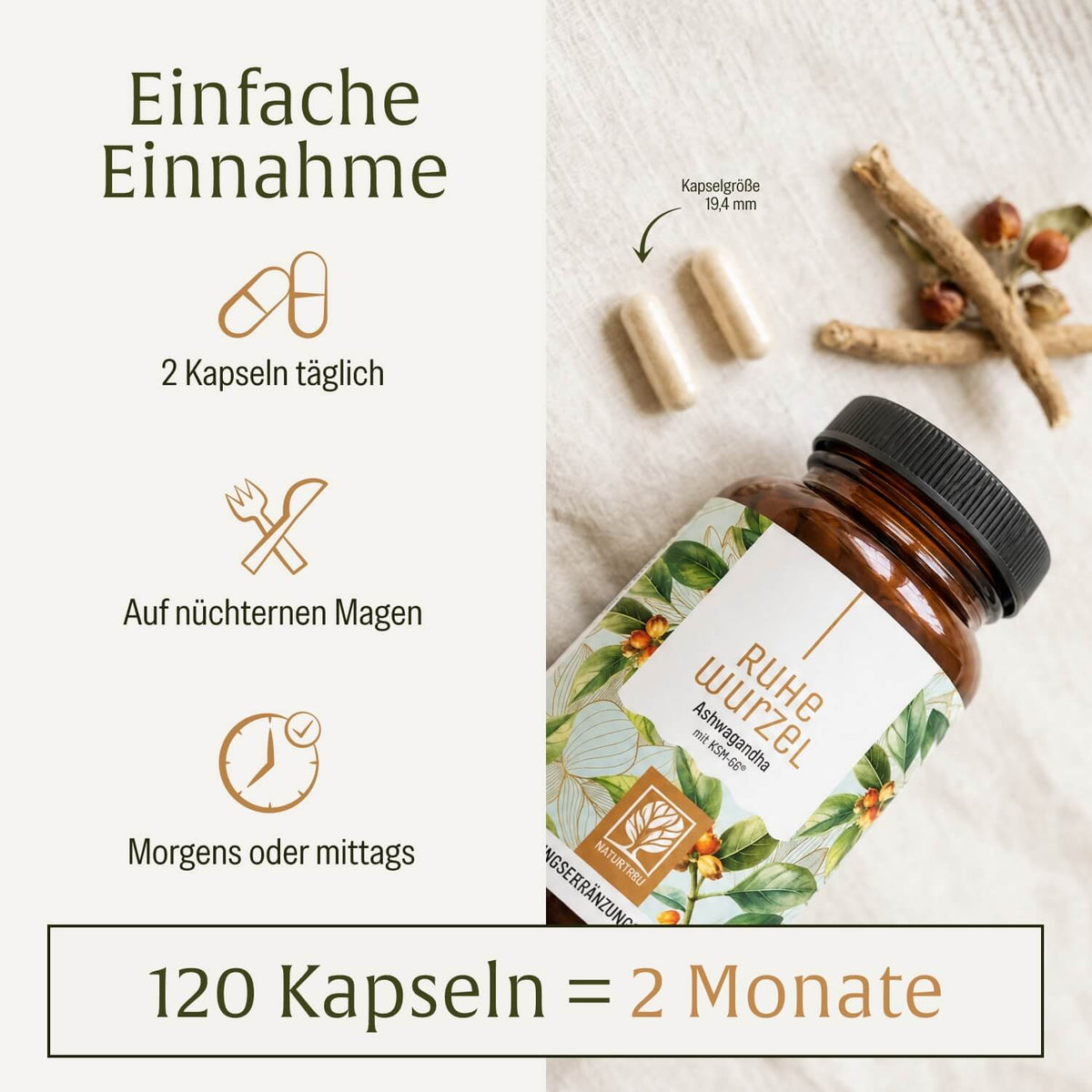 Ruhewurzel Ashwagandha mit KSM 66 Einnahme