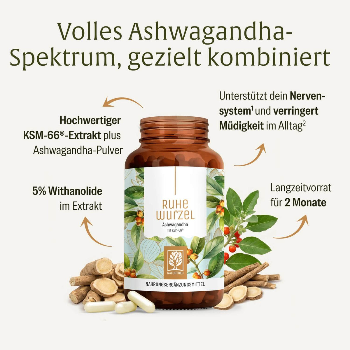 Ruhewurzel Ashwagandha mit KSM 66 Inhaltsstoffe