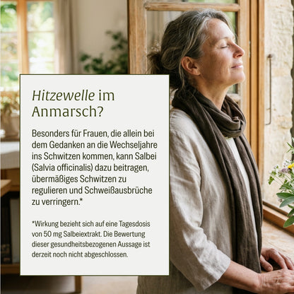 Salbeibrise Salbei-Extrakt Creatives DE Onlineshop Frische Impulse