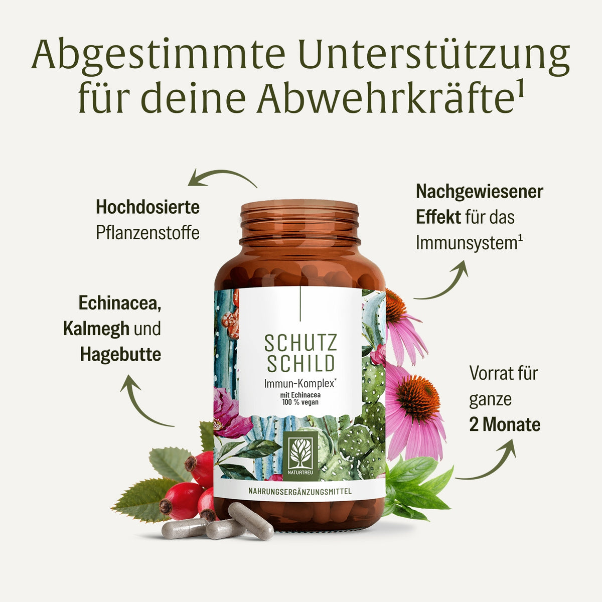 Schutzschild Immun-Komplex Hochwertige Inhaltsstoffe
