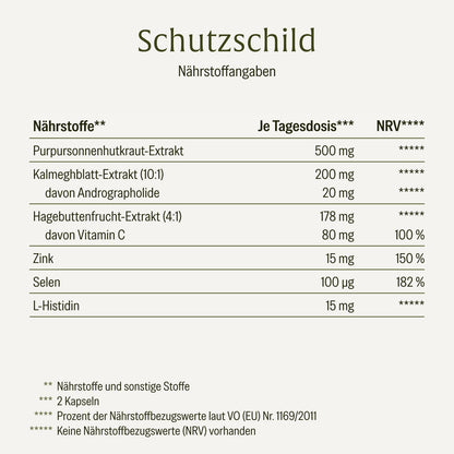Schutzschild Immun-Komplex Naehrwerte 