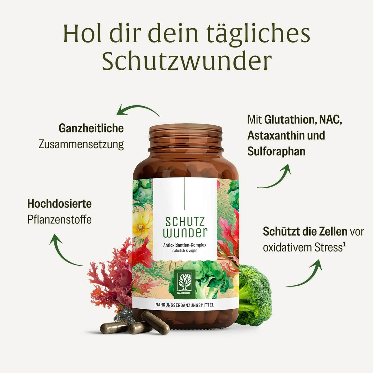 Schutzwunder Antioxidantien-Komplex Inhaltsstoffe