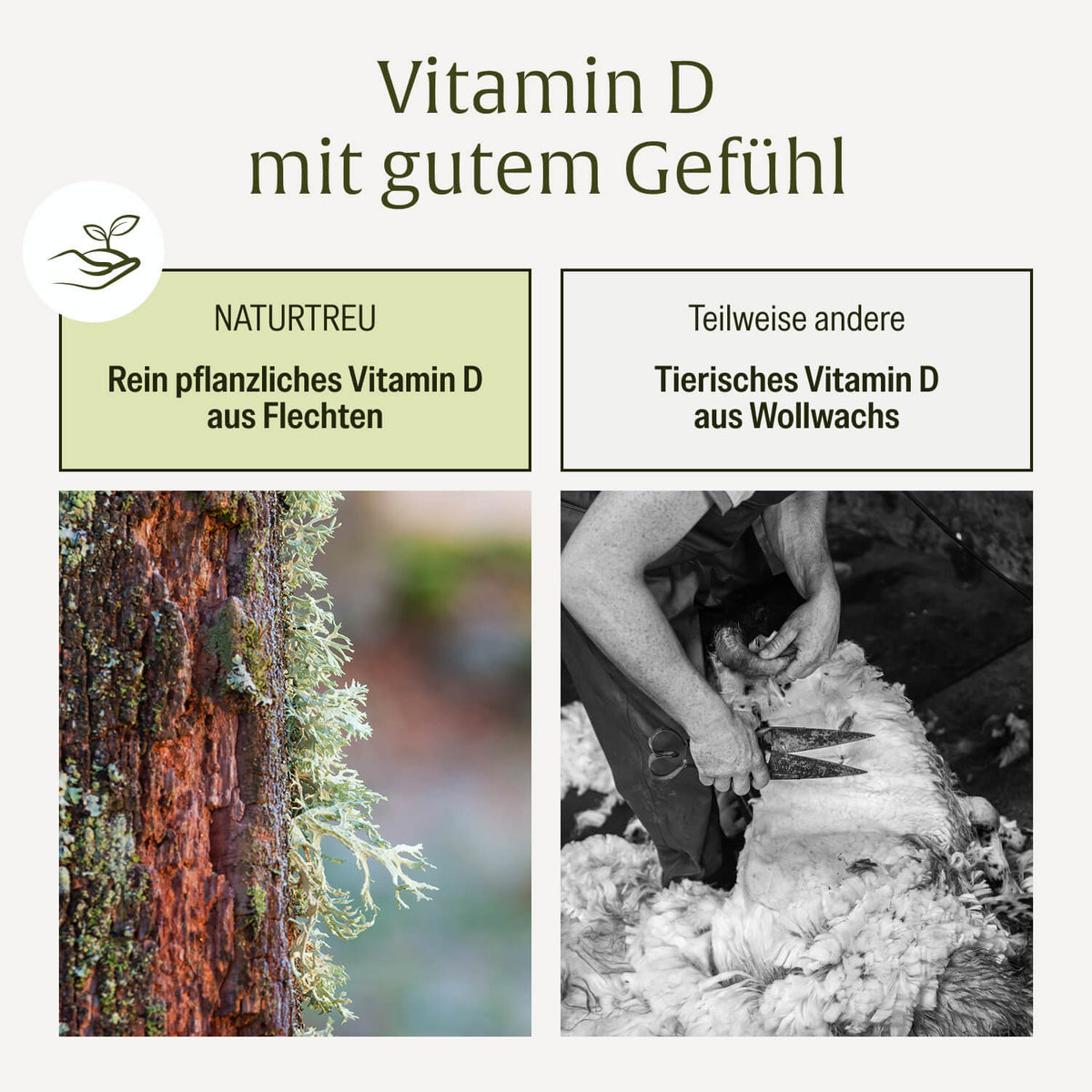 Sonnenelixier Vitamin D3 K2 Vergleich Vegan
