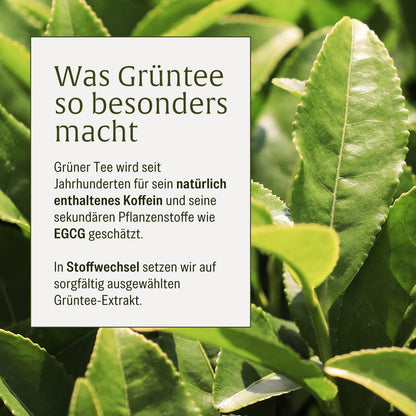 NATURTREU Stoffwechsel Kapseln unterstützen einen ausgeglichenen Stoffwechsel.