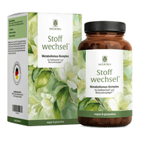 Stoffwechsel von NATURTREU, Metabolismus-Komplex für Stoffwechsel und Blutzuckerspiegel, 120 Stoffwechsel Kapseln für 30 Tage.