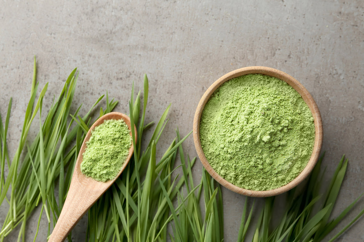 Gerstengras: Was du über das grüne Superfood wissen musst 