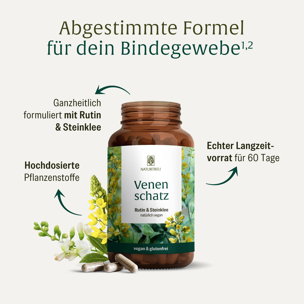 Venenschatz rutin steinklee Inhaltsstoffe