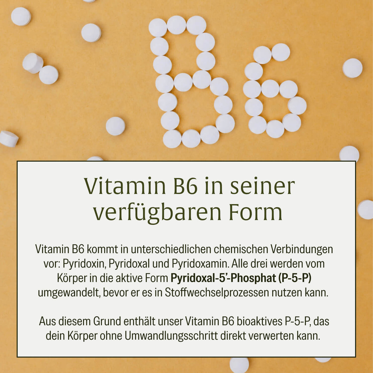 Vitamin B6: Presslinge mit bioaktivem Pyridoxal-5’-Phosphat und Akazienfaser