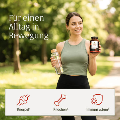 Vulkanstark MSM Wirkung