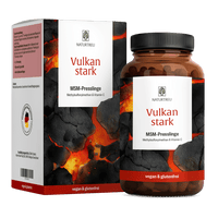 Vulkanstark Titelbild 