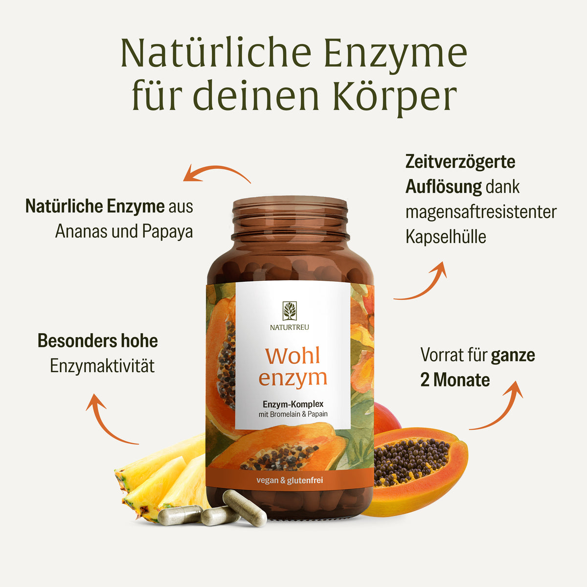 Wohlenzym Enzym Komplex mit Bromelain Papain Inhaltsstoffe