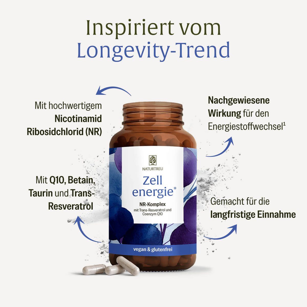ZEEN Zellenergie Creative DE Inhaltsstoffe
