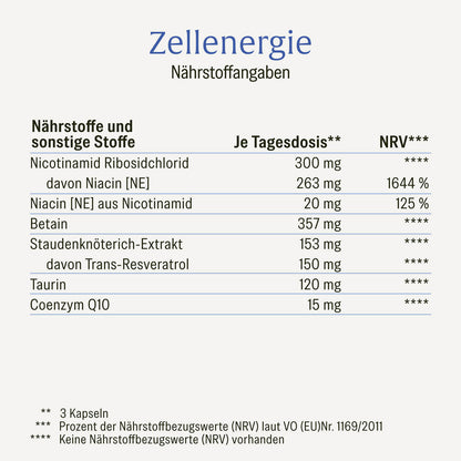 ZEEN Zellenergie Creative DE Naehrwerte
