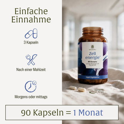 Zellenergie Creative DE Einnahme