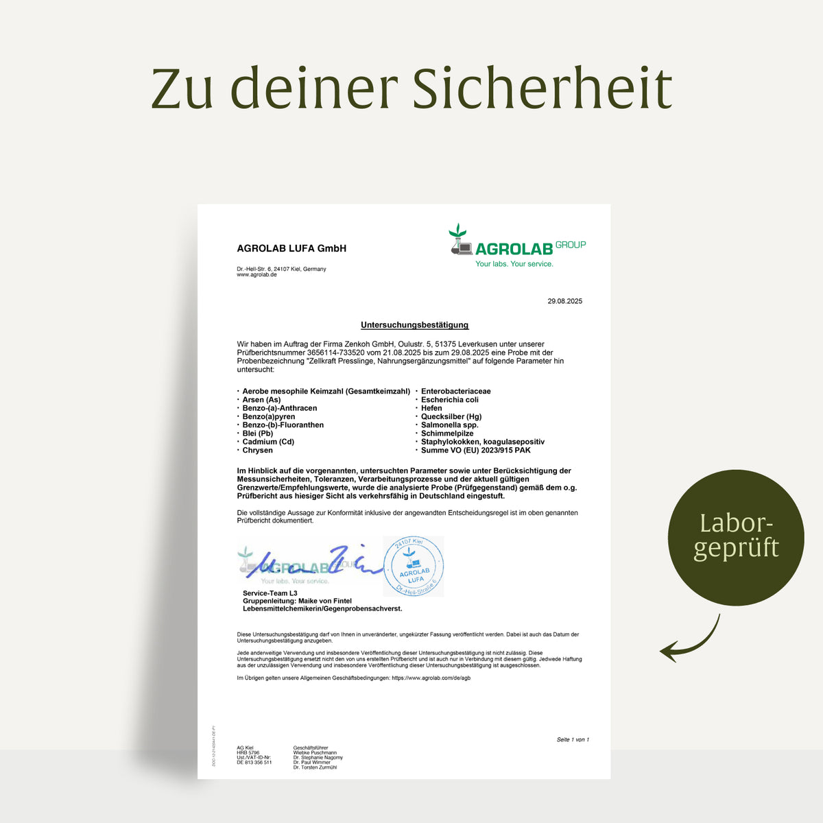 Zellkraft: Vitamin B12-Presslinge
