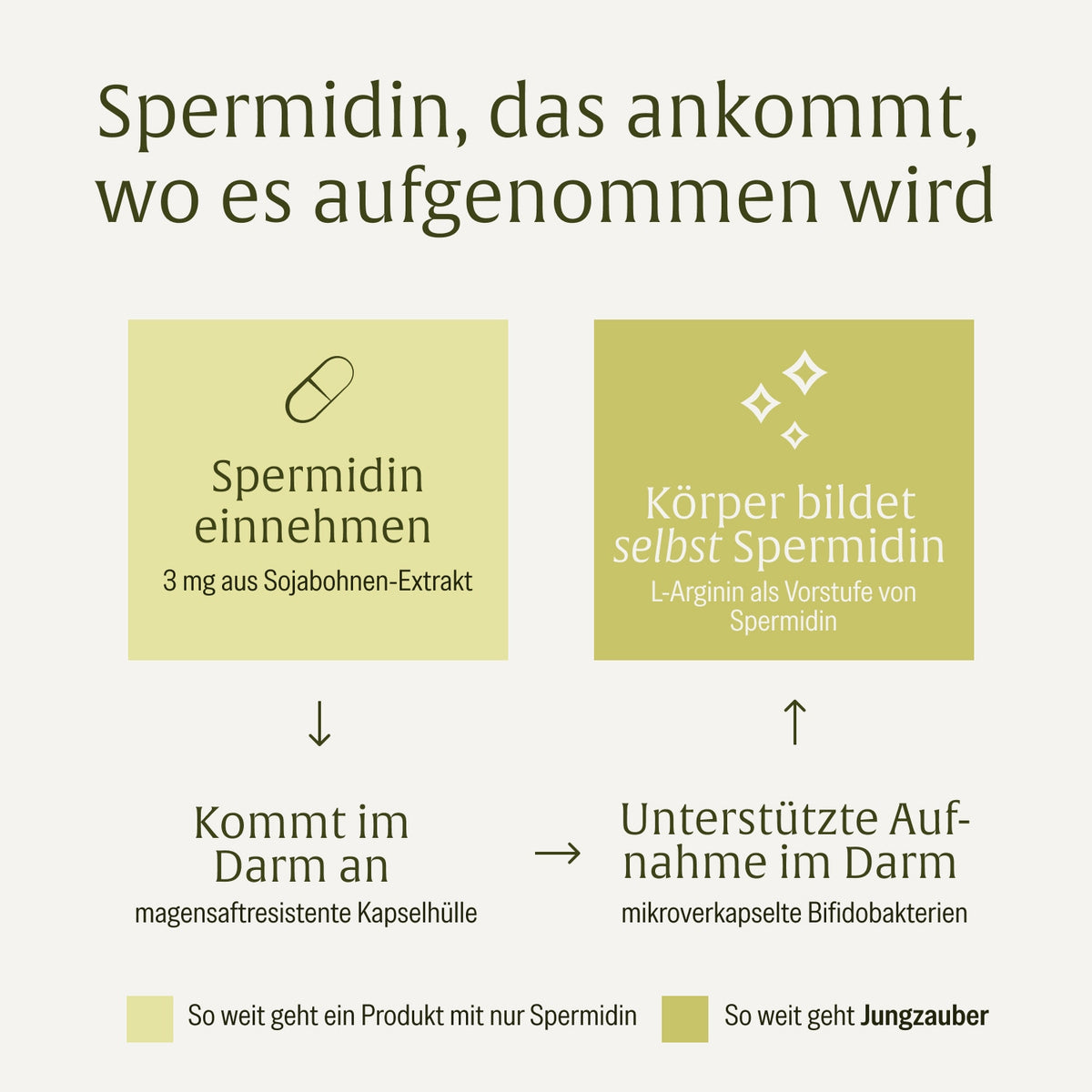 jungzauber spermidin-komplex Moodbild