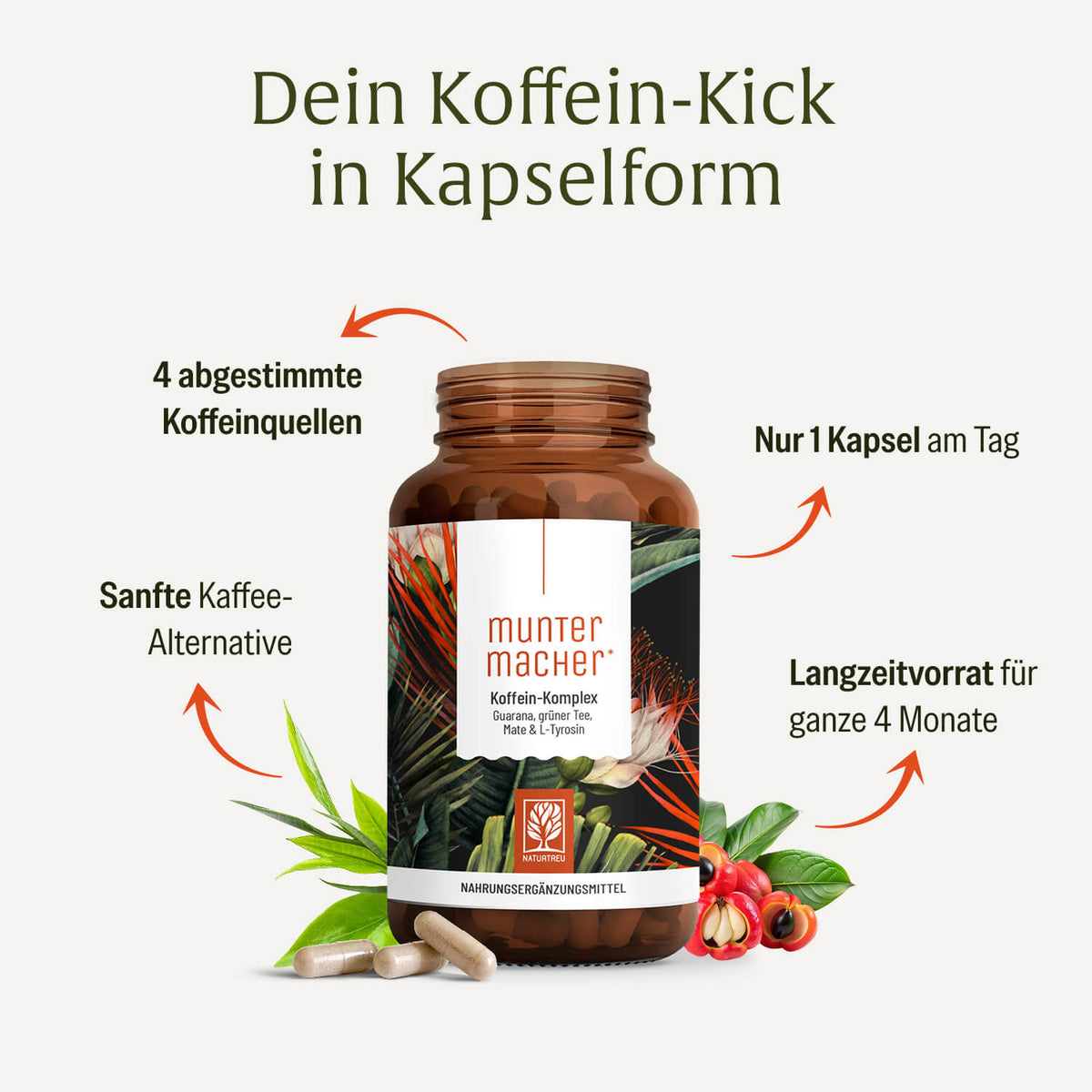muntermacher koffein komplex inhalt